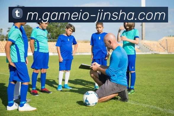 App Interface Preview