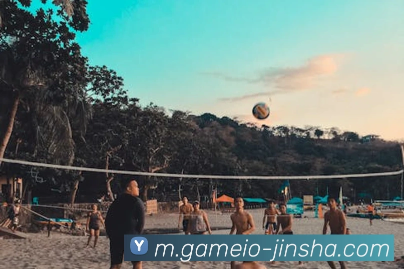 澳门金沙官网APP 封面图